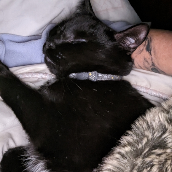 Meet your Posher, Karen - Picture 6 of 10